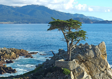 17 Mile Drive at Pebble Beach Monterey, CA