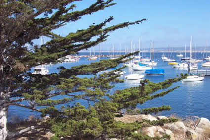 Monterey Harbor
