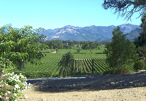 Napa Valley, California