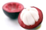 Mangosteen Fruit